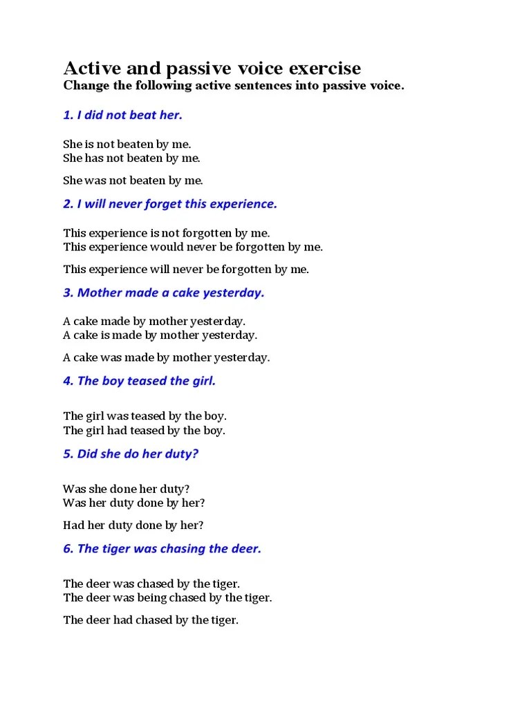 Active and Passive Voice Exercise 1. I Did Not Beat Her PDF
