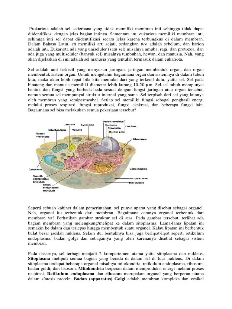 Bahan Makalah Sel Ayu | PDF