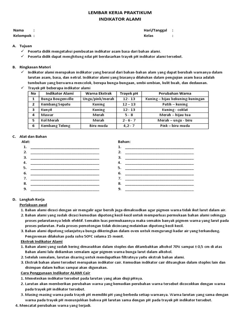 2676 11 2 LKP Indikator Asam Basa PDF | PDF