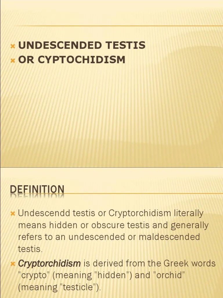 Undescended Testis PDF Testicle Women's Health