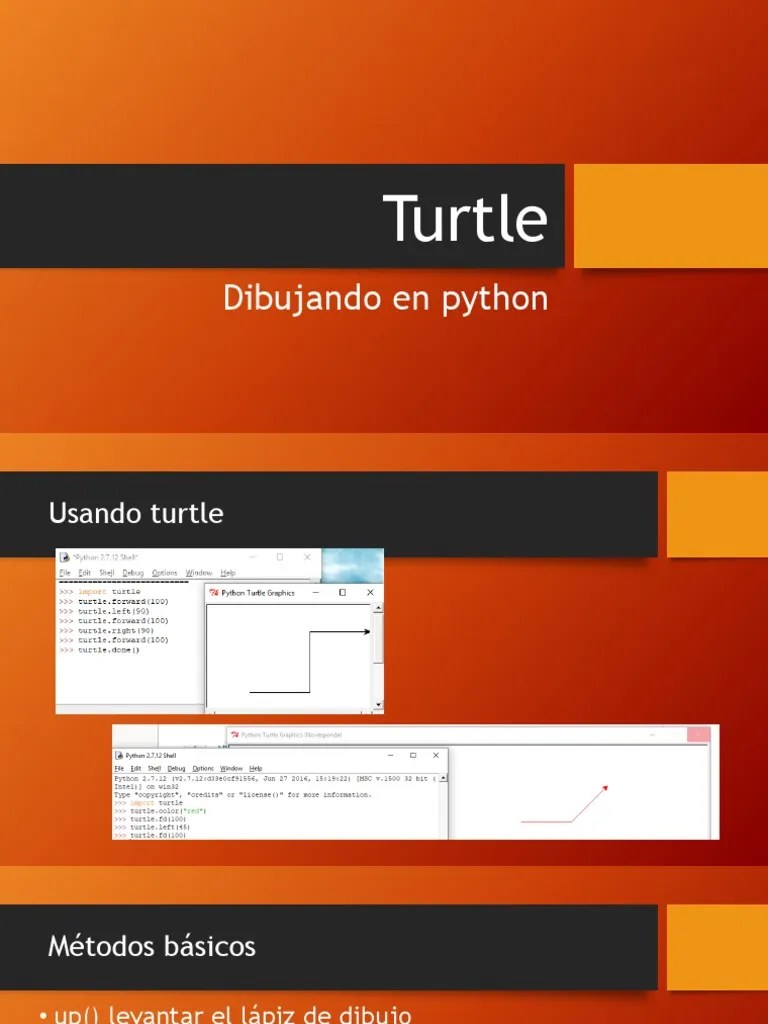Turtle Python