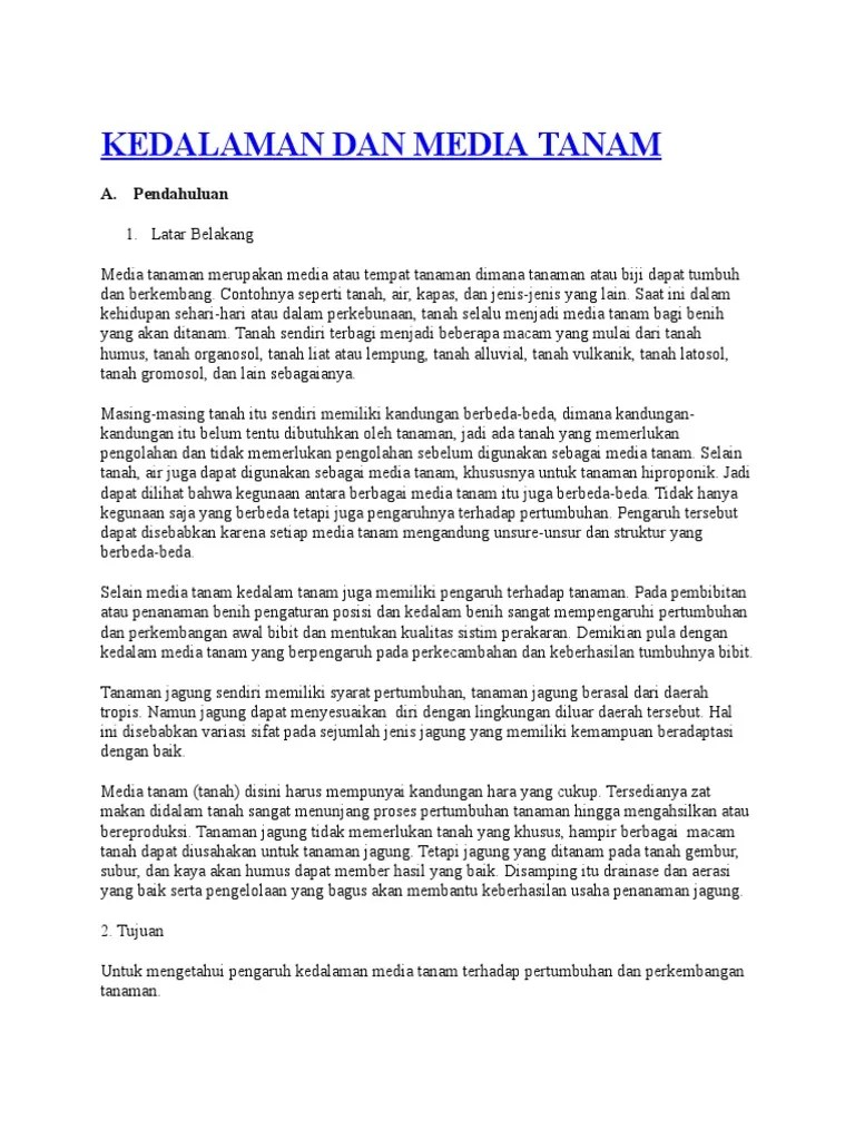 Kedalaman Dan Media Dda 2 | PDF