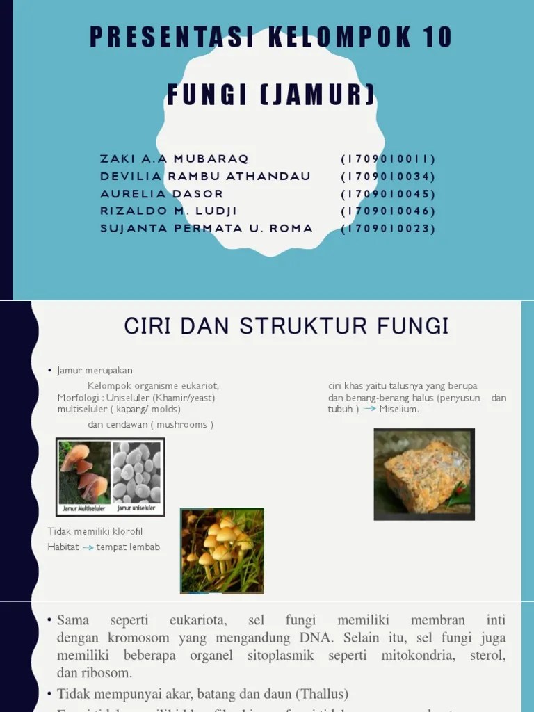 Kelompok 10-Struktur Kapang &amp; Khamir