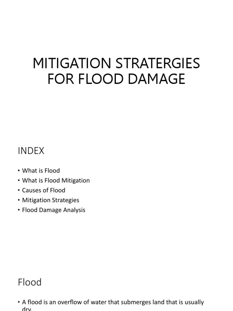 Mitigation Stratergies For Flood Damage | PDF | Levee | Flood