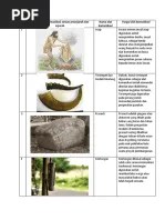 Fungsi Alat Komunikasi Produk Rekayasa Penghasil Bunyi | PDF