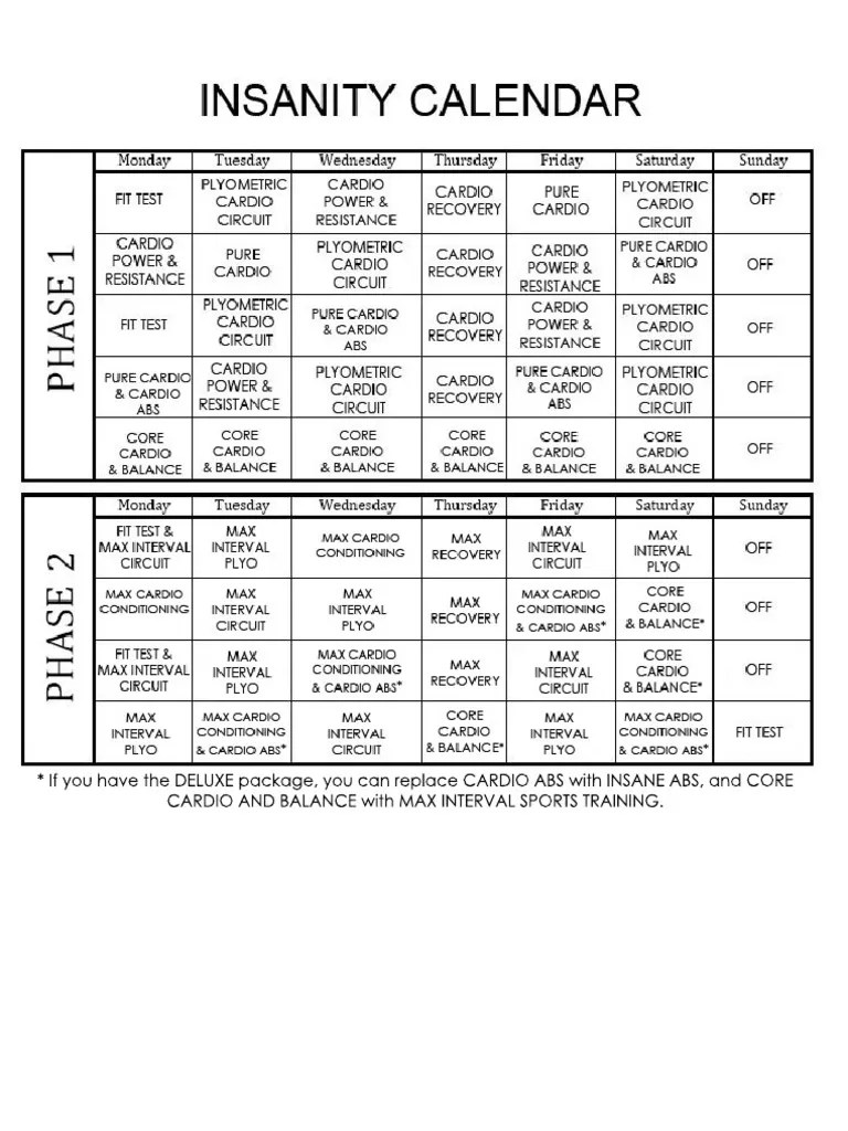 Insanity Calendar PDF
