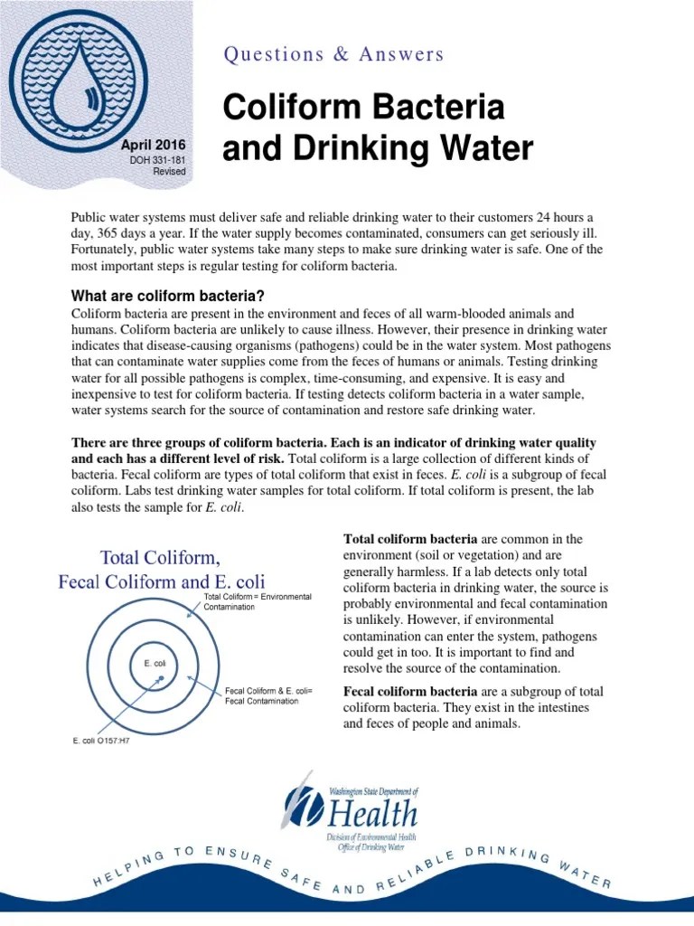 Coliform Bacteria and Drinking Water Questions & Answers PDF Drinking Water Escherichia Coli