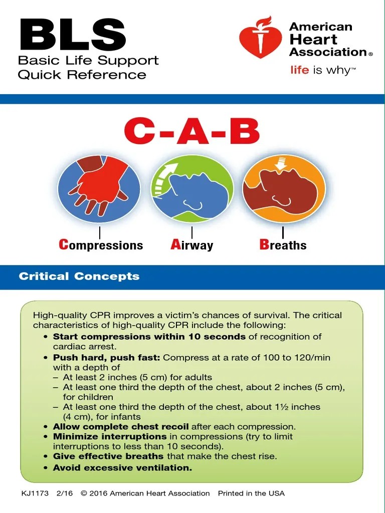 BLS. pdf.pdf | Cardiopulmonary Resuscitation | Traumatology