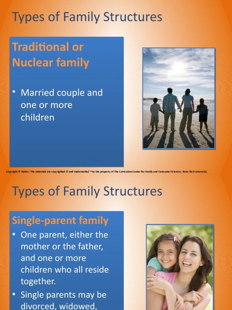 Types of Family Structures PDF Single Parent Family