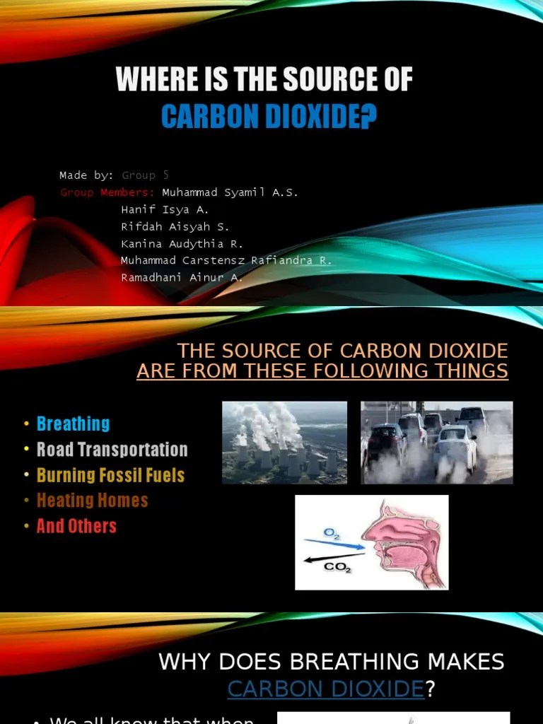 Where Does Carbon Dioxide Come From PDF