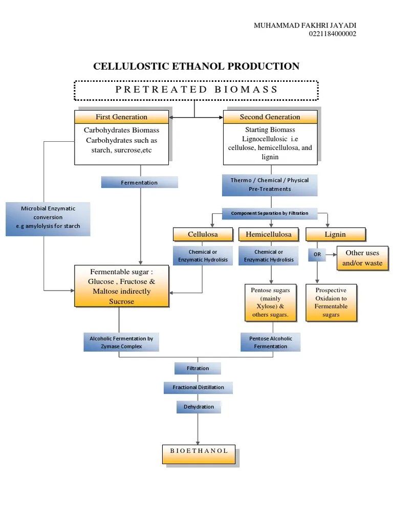 Cellulostic Ethanol Production | PDF | Cellulosic Ethanol | Renewable Fuels