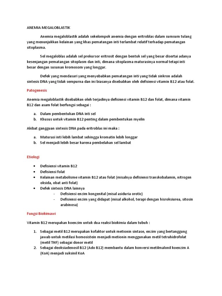 Anemia Megaloblastik | PDF