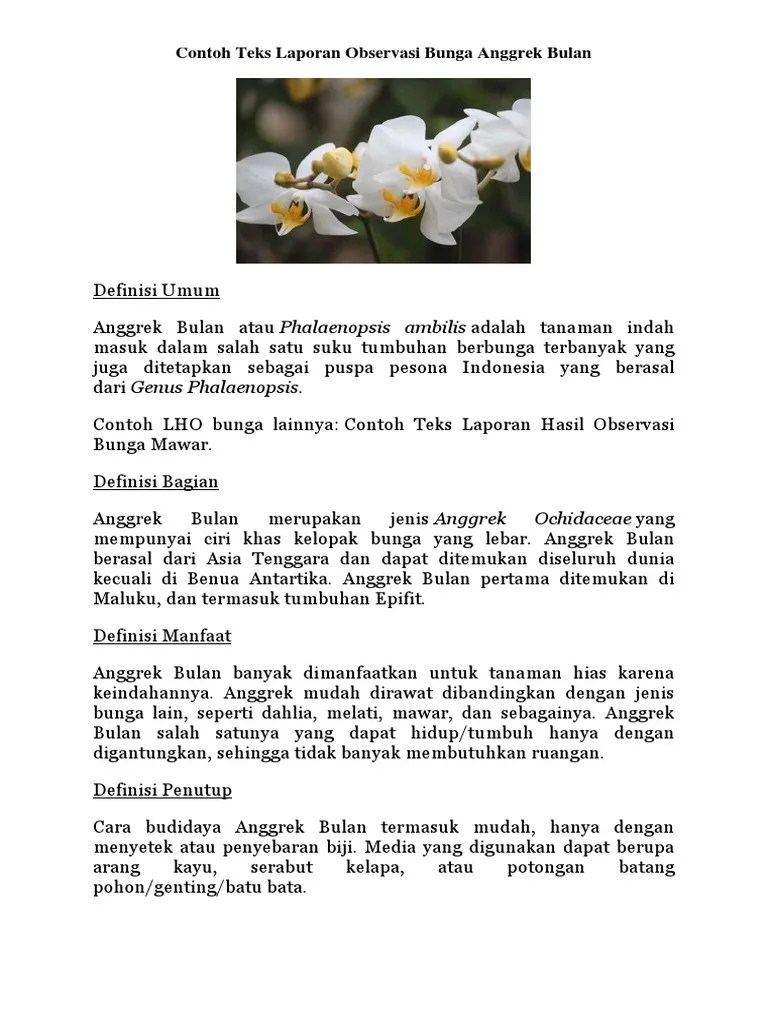 Teks Laporan Hasil Observasi Bunga Anggrek Rindu Sekolah
