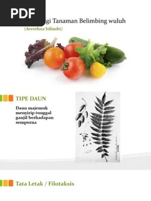 Daun Belimbing Wuluh | PDF