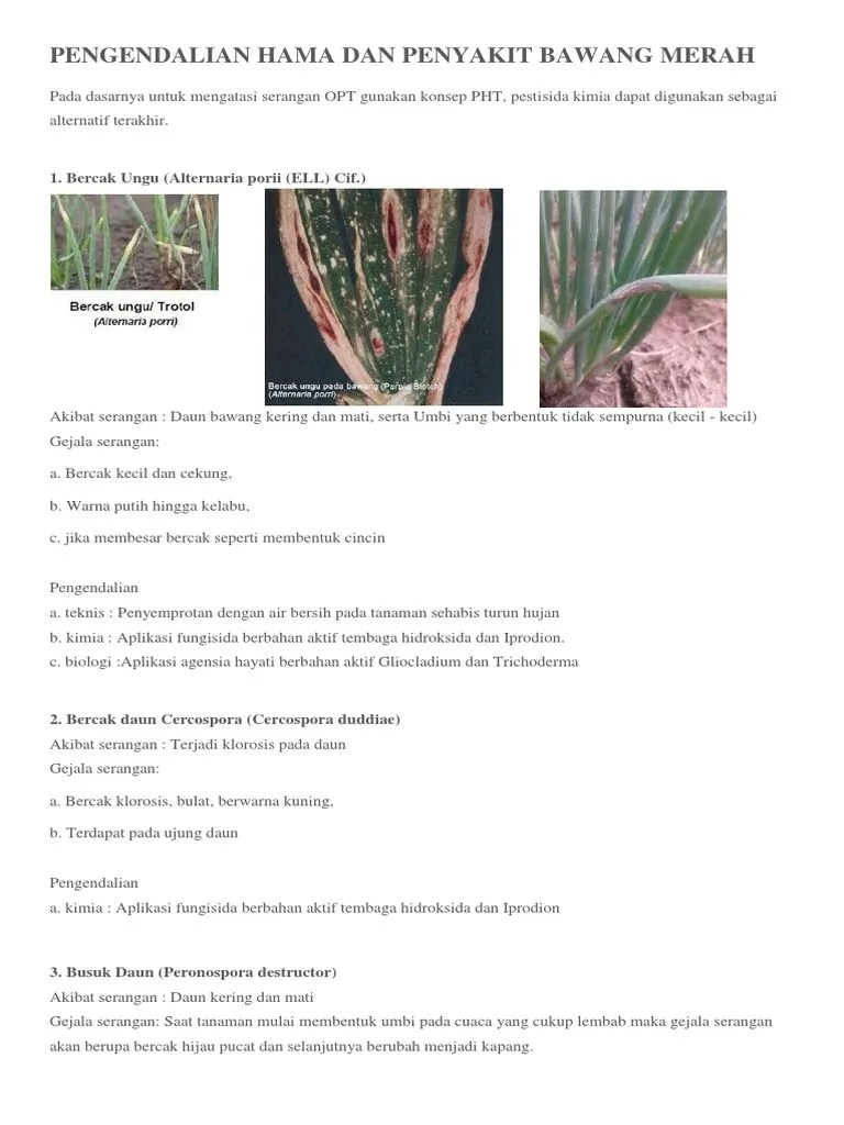 Pengendalian Hama Dan Penyakit Bawang Merah | PDF
