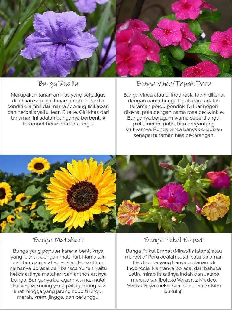 Flash Card Bunga | PDF