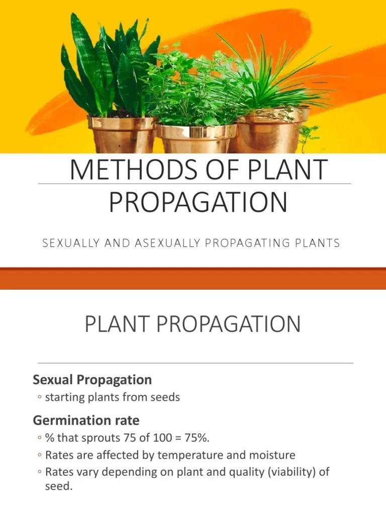 Methods of Plant Propagation Sexually and Asexually Propagating Plants