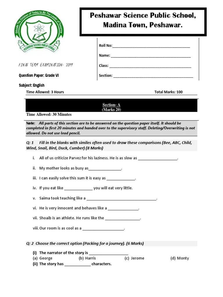 Section A Class 6 English Paper Final Term PDF