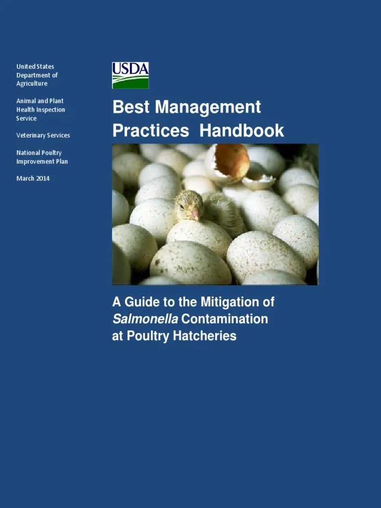 Hatchery Management PDF Chicken Disinfectant