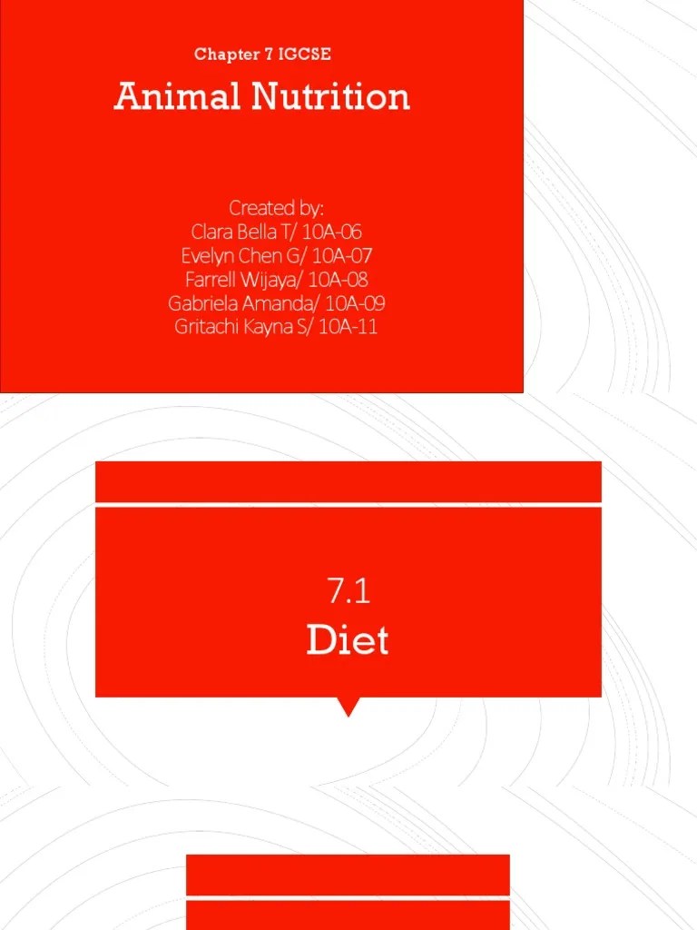 Chapter 7 IGCSE Animal Nutrition PDF Human Tooth Digestion