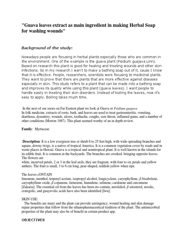 Guava Leaves Extract As Main Ingredient in Making Herbal Soap For