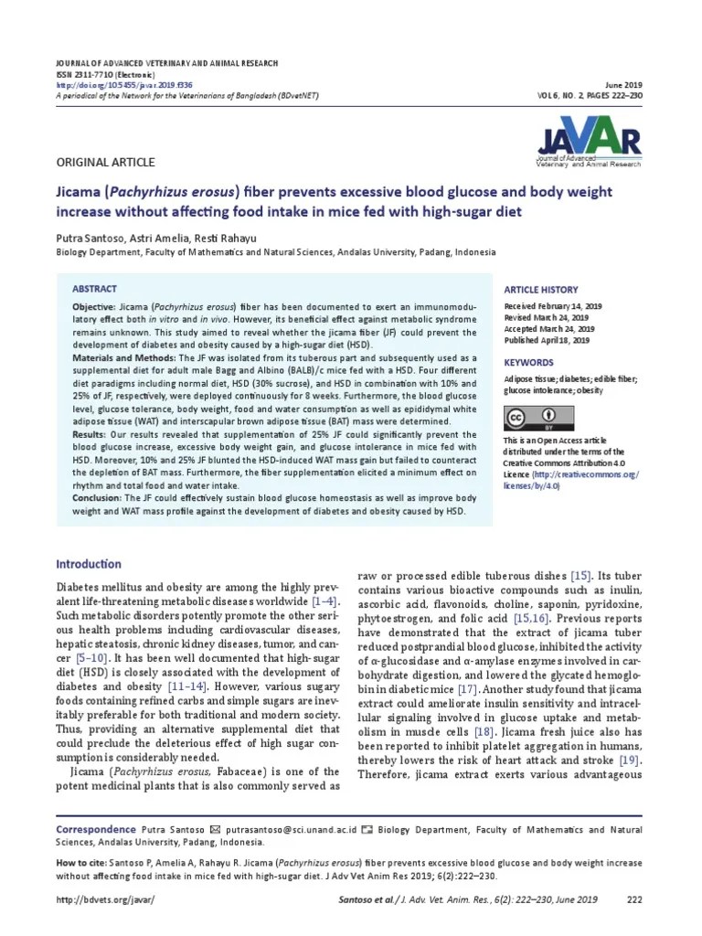 Jicama Fiber Prevents Excessive Blood Glucose and Body Weight Increase