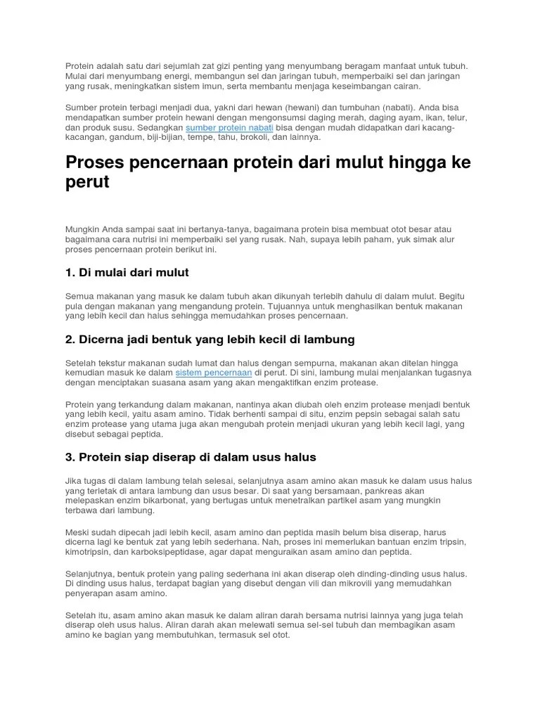 Pencernaan Protein | PDF
