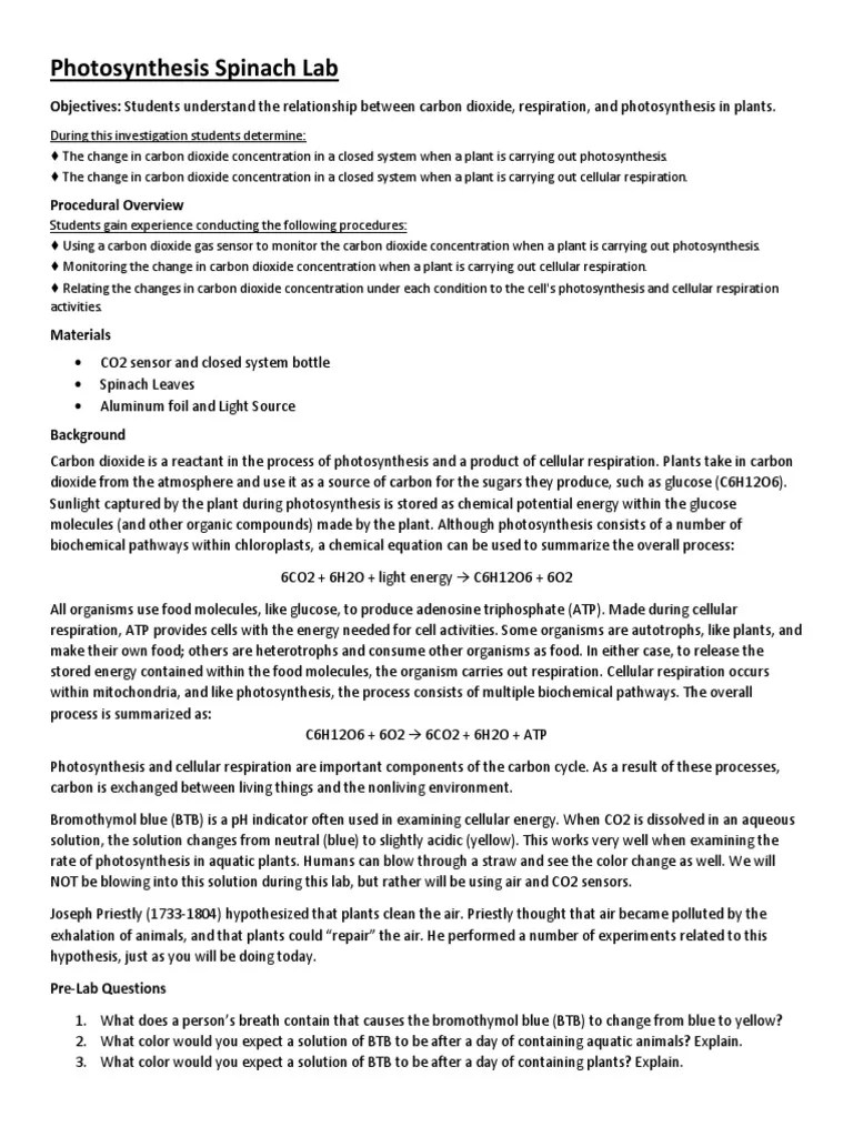Photosynthesis Spinach Lab Download Free PDF Photosynthesis