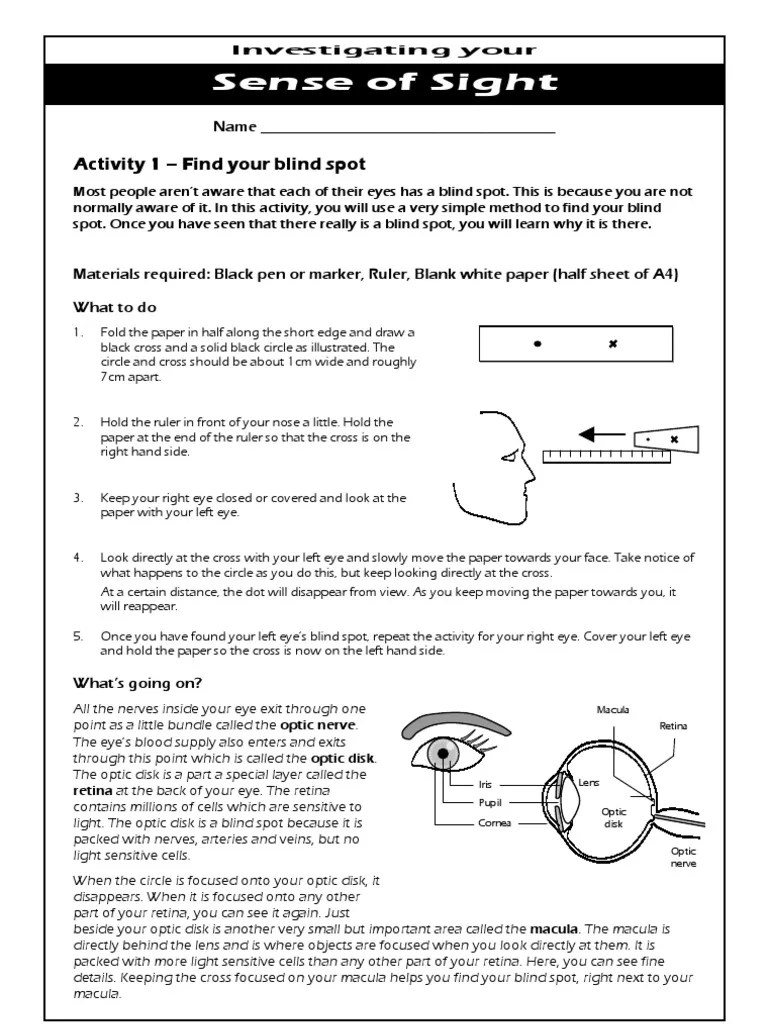 science matching exercise worksheet vision
