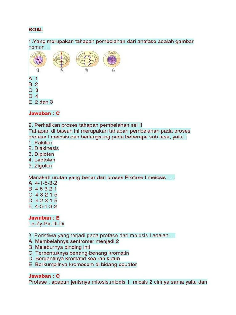 SOAL Biologi Uh | PDF