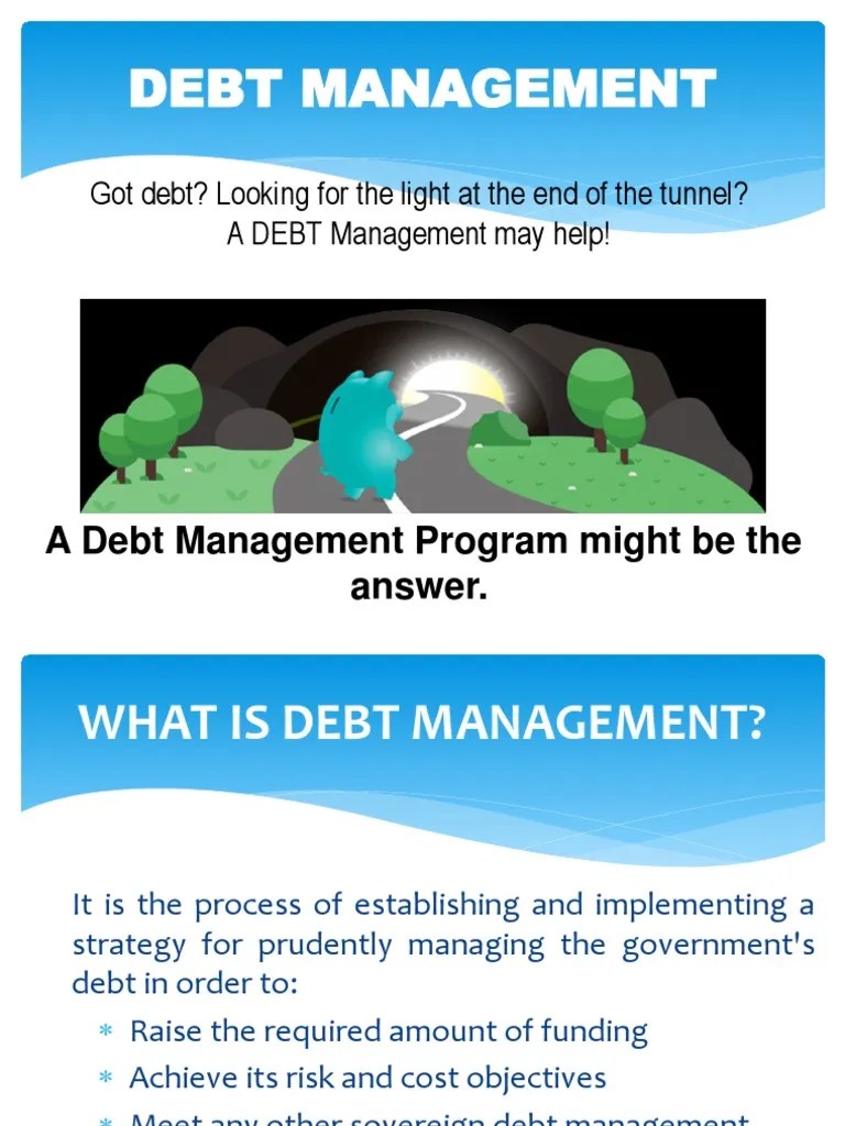Debt Management Program PDF Government Debt Debt