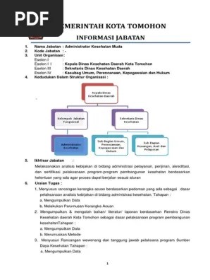Anjab Administrator Kesehatan | PDF