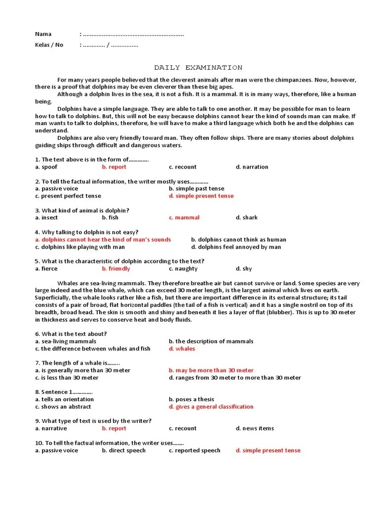 Daily Exam1 SMT 2 | PDF | Dolphin | Indonesia