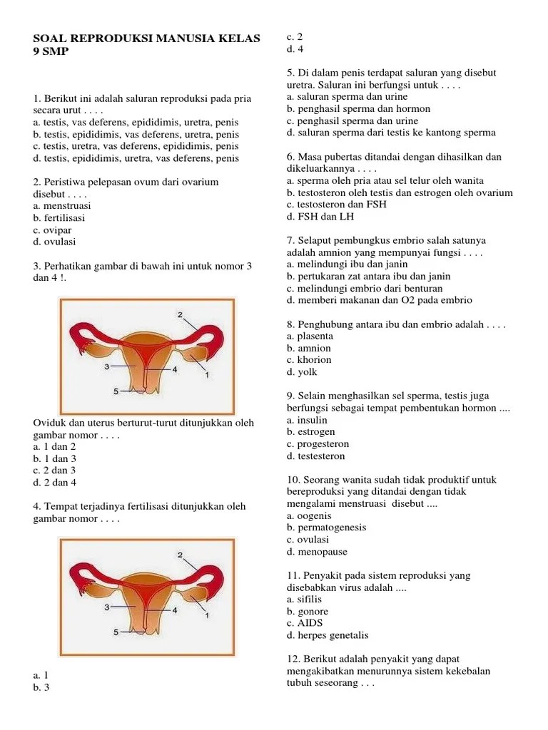 Soal reproKELAS - 9 - SMP | PDF