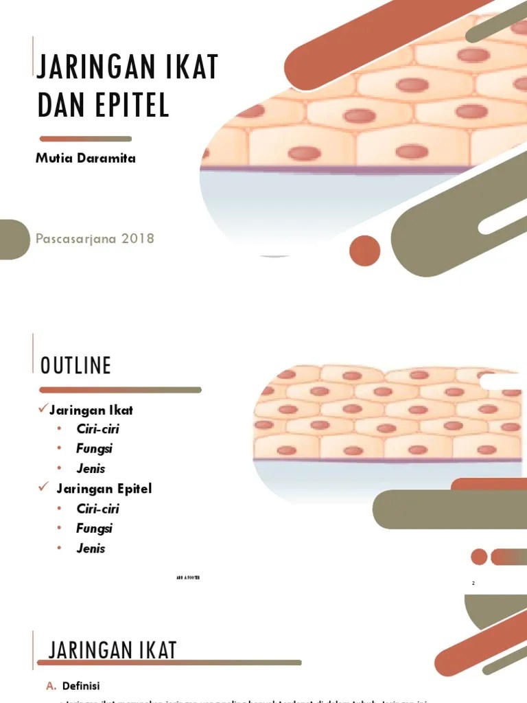 Jaringan Ikat Dan Epitel | PDF