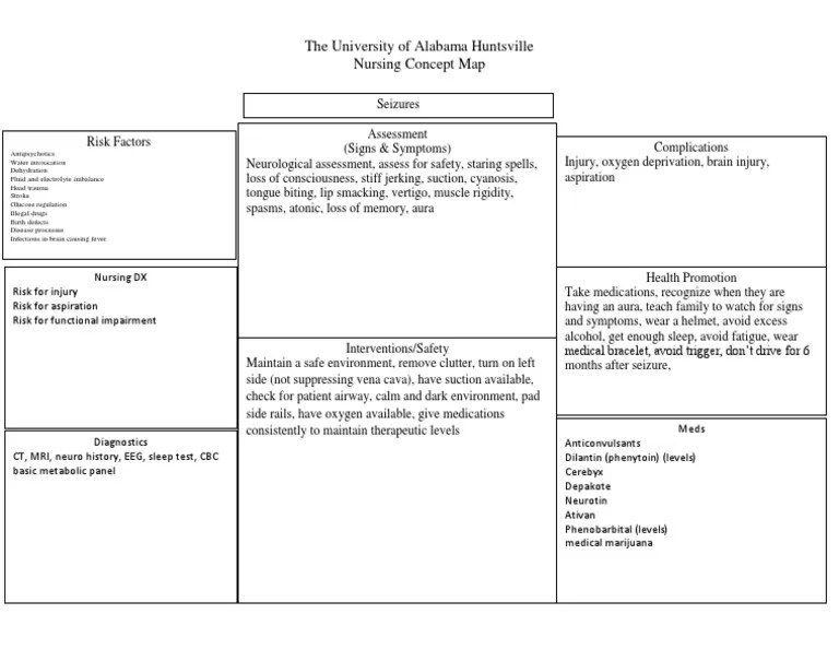 Concept Map For Seizures Concept Map Seizures Nervous System Health Sciences