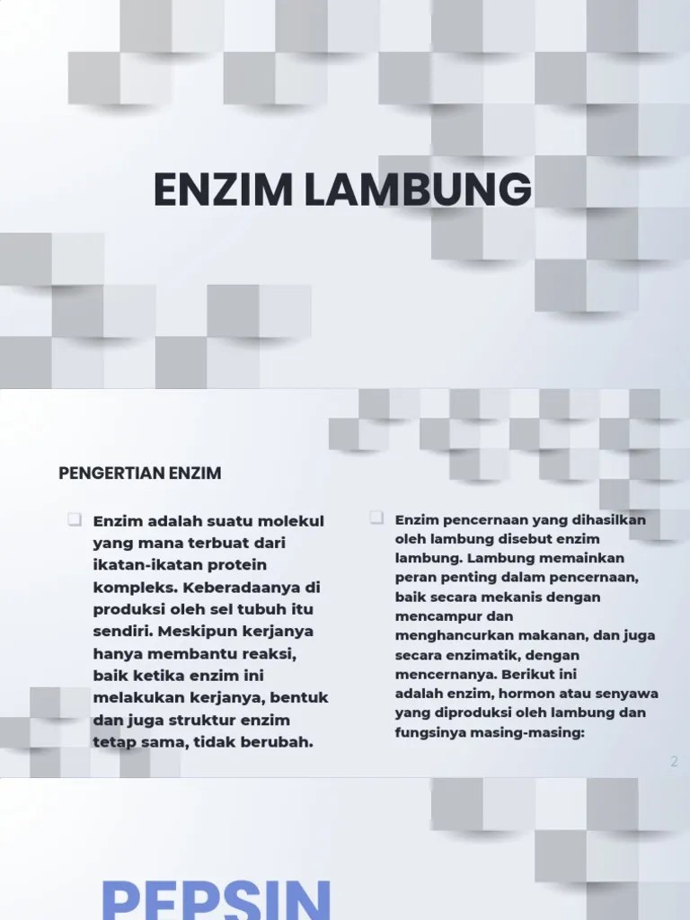 Enzim Lambung | PDF