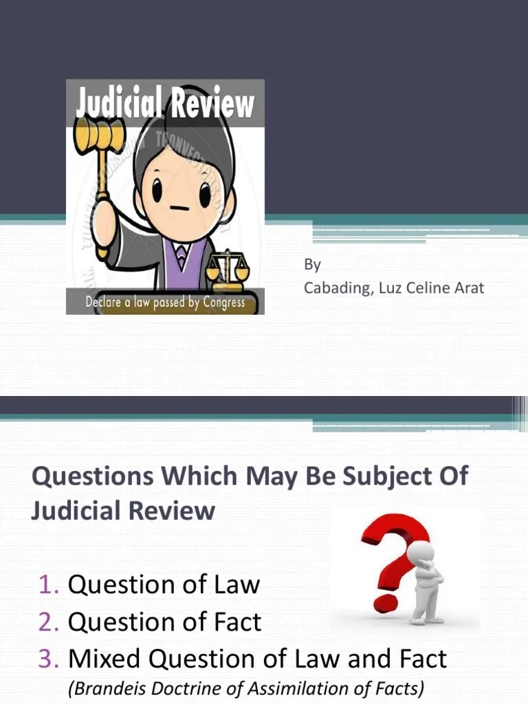 Questions Subject To Judicial Review PDF Question Of Law Citizenship
