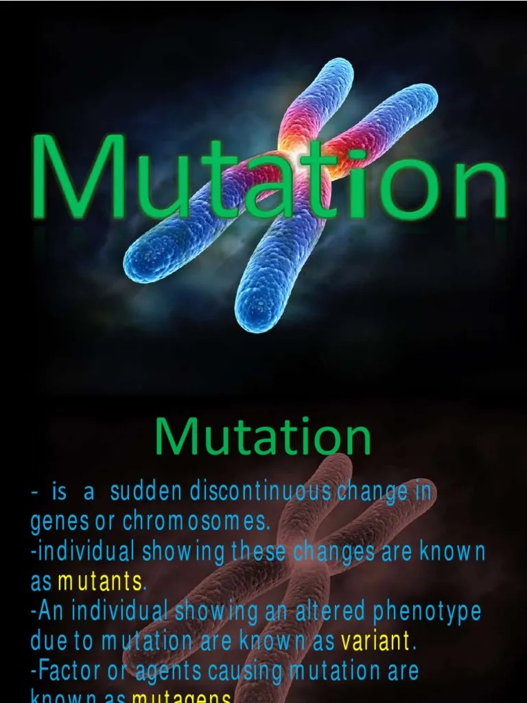 Project On Mutation Class 12 PDF