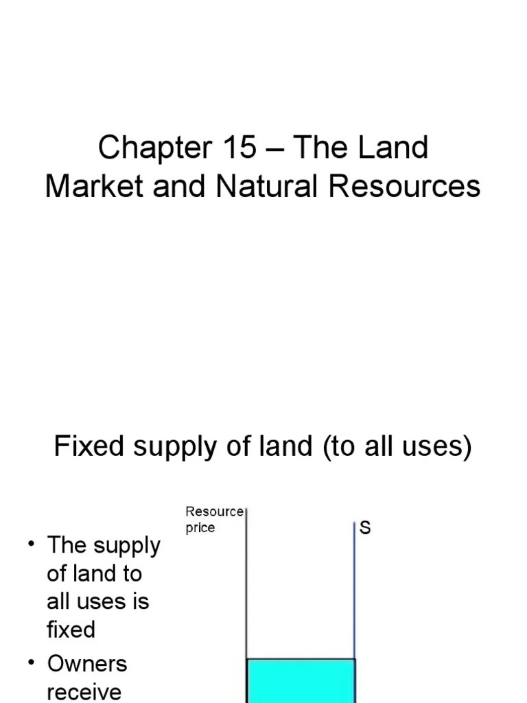15.land & Natural Resource Market PDF
