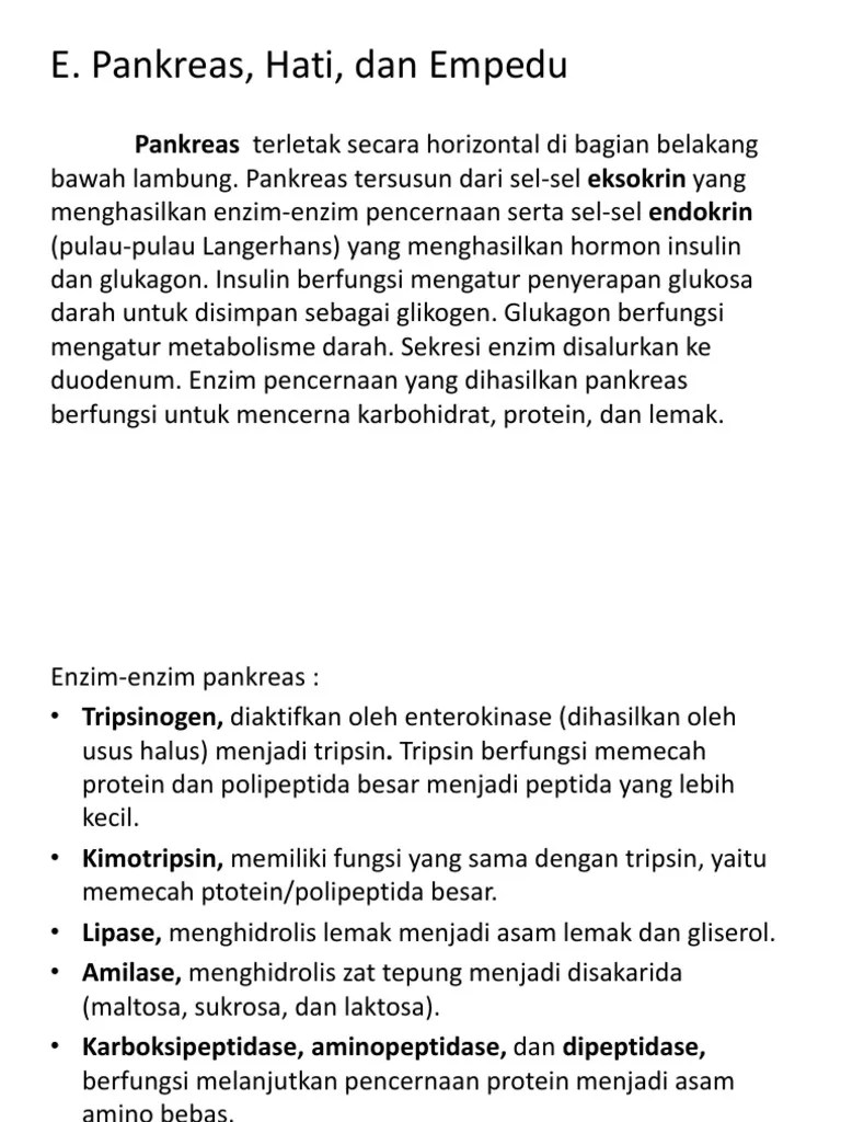 BIOLOGI 2nd | PDF
