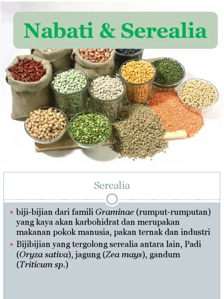 Serealia Dan Nabati | PDF