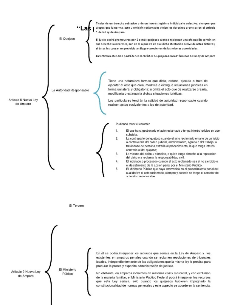 Cuadro Sinóptico “Las Partes Del Amparo Derecho penal