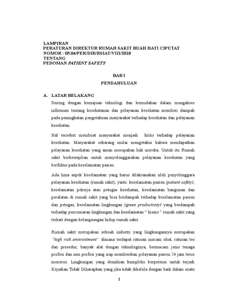 05.04 SNARS Pedoman Patient Safety | PDF