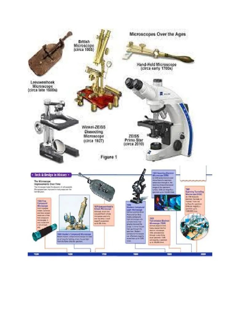 Microscope Timeline PDF