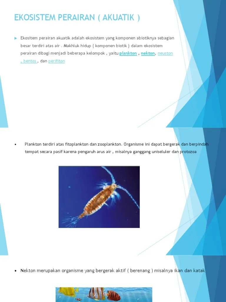 Ekosistem Perairan (Akuatik) 2