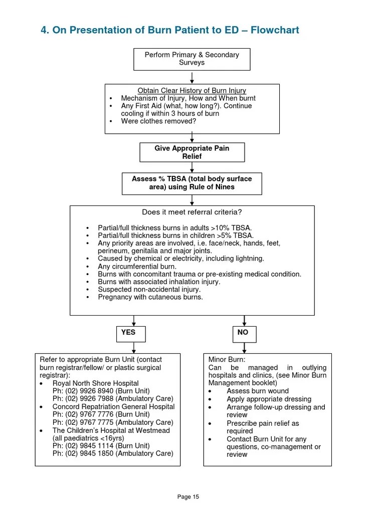 2014 Burn Patient Management Clinical Practice Guidelines PDF Burn Wound