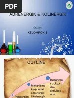Adrenergik &amp; Kolinergik PPT Kimfar | PDF