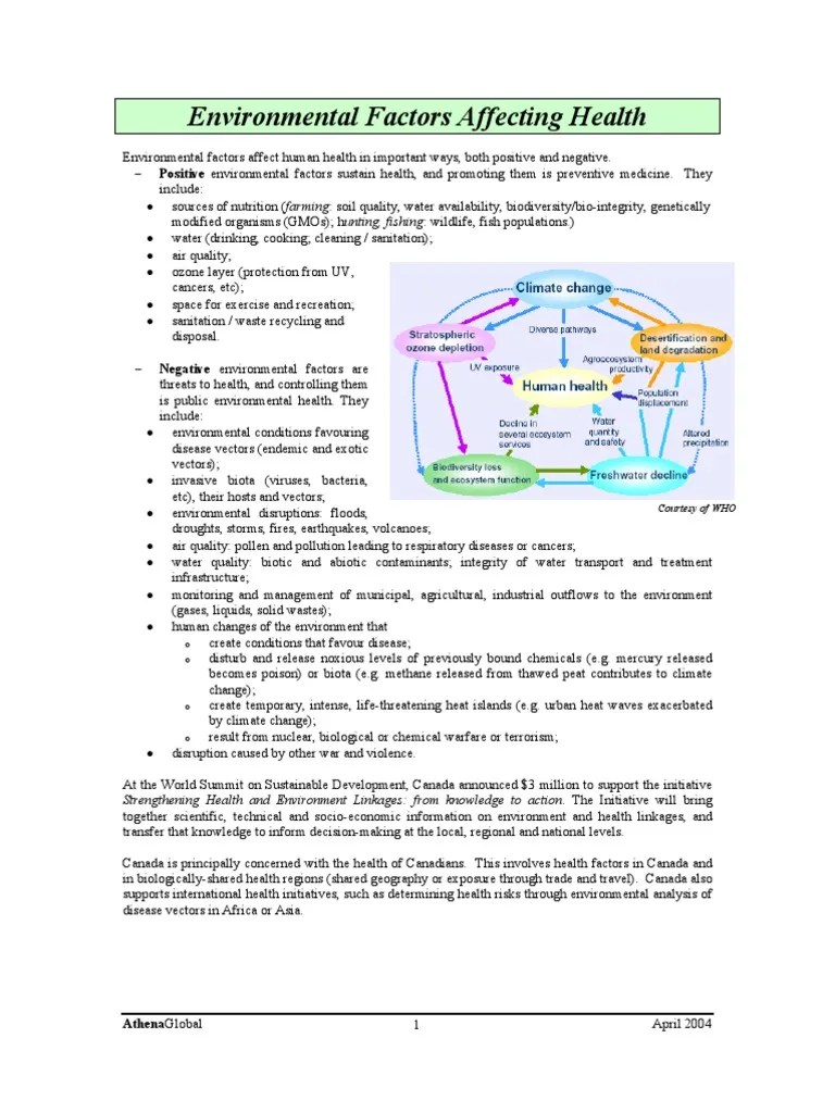 Environmental Factors Affecting Health Sustainability Risk