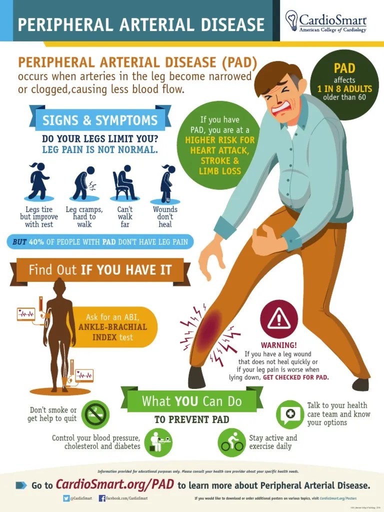 Peripheral Arterial Disease PDF PDF Medical Specialties Clinical